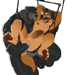 4_toes accessory anal anal_fisting anal_fluids anal_penetration anthro athletic balls bdsm bear beard black_body black_penis blush bodily_fluids bound brown_body canid canine canis chain_in_mouth clothed clothed/nude clothing cock_ring crotchless_bottomwear crotchless_clothing crouching domestic_dog dripping duo ear_piercing ear_ring erection eye_roll eyebrow_piercing facial_hair facial_piercing feet fisting footwear foreskin gay gay_male genital_fluids genital_piercing genitals german_shepherd gloves grin hands_behind_head hands_tied handwear hat head_grab headgear headwear herding_dog hi_res humanoid_genitalia humanoid_penis hyenaface hypnosis jewelry ladder_piercing male male/male mammal milo_(runneroo) mind_control musclegut muscular necktie nick_boyd_(runneroo) nipple_chain nipple_chain_pull nose_piercing nose_ring nude obscured_eyes open_mouth pastoral_dog pawpads penetration penis penis_accessory penis_jewelry penis_piercing piercing precum prince_albert_piercing retracted_foreskin ring_piercing ringed_eyes sex_swing shoes simple_background smile spread_legs spreading toes tongue tongue_out tongue_piercing topwear white_background yaoi