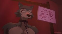 2025 3d animated anthro anthro_on_anthro beastars blowjob bovid canid canine canis chastity_cage cum deepthroat dialogue gay hands-free hands_behind_back handsfree_ejaculation headlock horse horsecock irrumatio kneeling kneeling_oral_position legoshi_(beastars) male nakedsav oral oral_sex orgasm_from_oral penis penis_on_face penis_slapping_face rape shishigumi_(beastars) sound sound_effects sound_warning tagme video voice_acted wolf