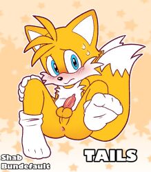 tails the fox from sonic (series) by bundefault