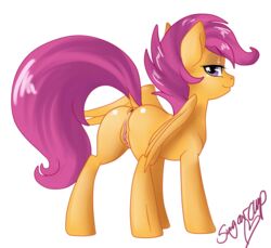 anus equine female friendship_is_magic horse my_little_pony pony pussy ratofdrawn scootaloo_(mlp) smile straight_hair sugarcuppony wings