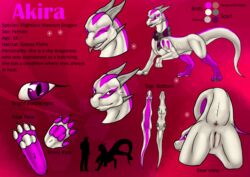 akira anus dragon eyes female feral model_sheet presenting pussy