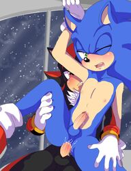 shadow the hedgehog from sega by soina