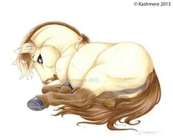 cute equine eris_(marefurryfan) female feral horse kashmere marefurryfan pussy shy smile