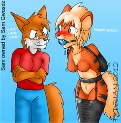 anthro arcanine armbinder arms_behind_back ball_gag blue_ball_gag blush breasts canine eyeswear female fox fur furry gag gagged glasses legbinder male nintendo nude pokemon pokemon_(species) sam_gwosdz struggling tydrian video_games