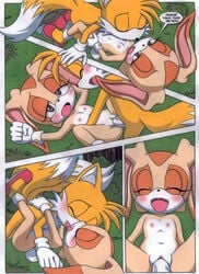 a_sparring_session blush breasts closed_eyes color cream_the_rabbit dakina_(writer) day female fur furry_tail love male multiple_tails nipples nude outdoors palcomix penis pussy sega sex sonic_(series) sonic_the_hedgehog_(series) sonic_x tail tails text tongue vaginal_penetration