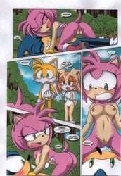 a_sparring_session amy_rose ass cream_the_rabbit dakina_(writer) female hedgehog male miles_tails_prower mobius_unleashed nipples nude palcomix pussy sega sonic_(series) sonic_the_hedgehog sonic_the_hedgehog_(series) sonic_x text torn