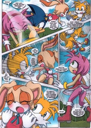 a_sparring_session amy_rose comic cream_the_rabbit dakina_(writer) female fur furry_tail hammer hedgehog male miles_tails_prower mobius_unleashed multiple_tails palcomix panties pantyshot piko-piko_hammer piko_piko_hammer sega sonic_(series) sonic_the_hedgehog sonic_the_hedgehog_(series) sonic_x tail underwear upskirt wind_lift