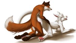 2013 anthro breasts canine female fox jackrow kangaroo male marsupial nude penetration penis plain_background pussy sex