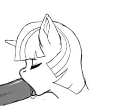 2013 animated equine fellatio fellatio_from_feral female friendship_is_magic horse kevinsano male_on_feral my_little_pony oral oral_sex pony straight_hair twilight_sparkle_(mlp)