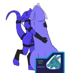 anthro bondage bound cum dragon drake erection furry furry_only gay hyper male no_humans penis tenecayr tenecayr_(character)