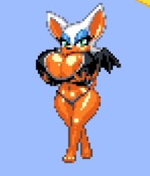 rouge the bat from sonic (series)