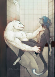 bear bound feline furry gay kitsunia male mashuu muscles no_humans penis polar_bear shower