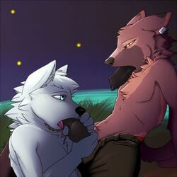 2boys anthro arctic_fox artie black_nose black_penis blue_eyes canine clothing color diphallia diphallism duo eye_contact eyes fellatio firefly fox fur furry furry_only gay knot looking_at_another male male_only multi_penis night no_humans oral oral_sex outdoors pants penis penis_tongue piercing red_eyes sex syynx tongue topless tuft