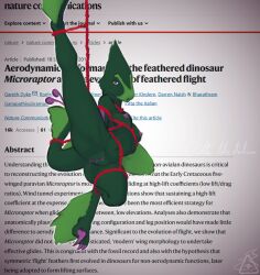 absurd_res anthro areola bodily_fluids bondage bound breasts clitoris dinosaur dromaeosaurid eddie_(pitta_the_italian) female genital_fluids genitals hi_res looking_at_viewer microraptor nature_communications nipples pitta_the_italian prehistoric_species pussy raised_leg reptile restraints rope rope_bondage rope_harness saurischian scalie scientific_paper seductive solo theropod vaginal_fluids vulva