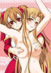 2girls aincrad ayano_keiko blush breasts brown_eyes brown_hair female female_only multiple_girls red_eyes silica sword_art_online tagme tied_hair twintails yuuki_asuna