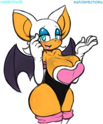 rouge the bat from sonic (series) by habbodude