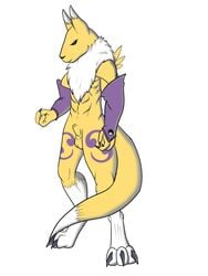 digimon glove male male_only no_humans nude penis renamon sheath solo white_fur wiskar yellow_fur ying_yang_symbol