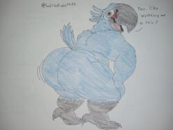 1boy 2025 20th_century_fox 20th_century_studios 2d 2d_(artwork) 2d_artwork anthro ass avian beak big_ass big_butt bird blu_(rio) blue_feathers blue_macaw blue_sky_studios blush blushing_male blushing_profusely chubby chubby_male erect_penis erection furry furry_male ludoroo macaw male naked naked_male nude nude_male penis rio_(series) solo tagme throwing_it_back traditional_drawing_(artwork) traditional_media traditional_media_(artwork) twerk twerking wallarudo