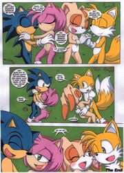 a_sparring_session amy_rose anthro blush closed_eyes cream_the_rabbit dakina_(writer) female fur furry_tail hedgehog holding male miles_tails_prower multiple_tails nude outdoors palcomix sega sonic_(series) sonic_the_hedgehog sonic_the_hedgehog_(series) sonic_x straight tail text wholesome