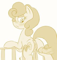 anus ass blush carrot_top_(mlp) cradeelcin cum cum_in_pussy cum_inside cutie_mark dripping equine equine_pussy erection female feral friendship_is_magic hair horse male my_little_pony nude penis pony pussy spread_legs spreading straight