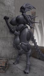 3d 3d_model alien alien_(franchise) areolae balls ballsack big_balls big_breasts big_lips breasts cyklops dangling_testicles female finger_on_lip flared_penis futanari grabbing_penis holding_penis horsecock intersex knot knotted_penis lips monster_cock monster_girl nipples nude penis rain raining ribbed_penis saliva solo solo_futa tail testicles thick_thighs veiny_penis vrchat vrchat_avatar xenomorph xenomorph_queen