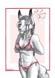 amiral_aesir anthro bra breasts canine daji female fox fur furry lingerie panties pussy solo translucent underwear