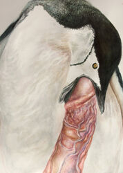 art avian bird brittany_zagoria disembodied_penis feral gay human male oral penguin penis vein watercolor what