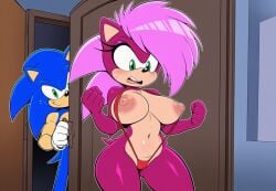 sonia the hedgehog from sonic (series)