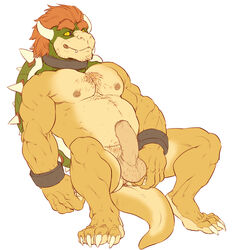 1boy 4_toes anthro balls ballsack bara beefy beige_countershading belly biceps black_sclera body_hair bowser chest_hair chin_pubes chubby claws collar erection facial_hair fangs foreskin forge_(artist) green_head hairy_balls horns humanoid_penis intact koopa male male_nipples male_only male_pubic_hair mario_(series) masculine mature_male musclegut muscles muscular_male nintendo nude_male ochre_skin orange_hair partially_retracted_foreskin pecs penis perineum plain_background pubes scalie scrotum shell smooth_penis solo spikes tail testicles thewielder uncut video_games wristband yellow_eyes