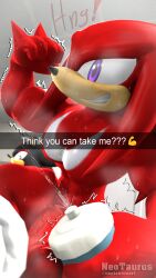 3d 3d_(artwork) anthro duo echidna erection hedgehog knuckles_the_echidna male neotaurus nude penis shadow_the_hedgehog sonic_(series) sweat sweating sweaty