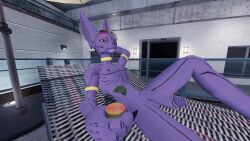 3d alcohol anthro anthro_only beerus dragon_ball dragon_ball_super feline garry's_mod god_of_destruction gold_jewelry hairless_cat looking_at_viewer male_only nude nude_male penis purple_skin solo solo_male sunglasses tagme yellow_eyes