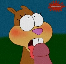 blowjob fellatio furry licking_penis looking_at_another looking_at_partner nickelodeon parody patrick_star penis sandy_cheeks spanky15 spongebob_squarepants squirrel tongue