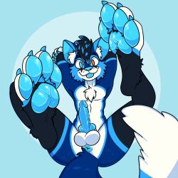 1:1 absurd_res anthro anus ass balls black_body black_fur black_hair blep blue_background blue_highlights blue_pawpads blue_theme canid canine cheek_tuft chest_tuft erection facial_tuft feet foot_focus fox fur genitals hair heterochromia hi_res highlights_(coloring) hybrid_genitalia hybrid_penis inner_ear_fluff knot lying male mammal on_back pawpads paws penis presenting presenting_balls presenting_penis simple_background smile solo tongue tongue_out tuft vein veiny_penis white_body white_fur wide_eyed xing1