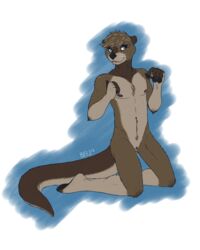 2013 biting_lip blue_eyes chest_tuft clitoris cuntboy intersex kneeling mustelid nipples nude otter pawpads pussy sarvix simple_background solo