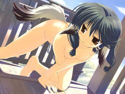 1girls amazuyu_tatsuki animal_ear aruru_(utawarerumono) barefoot bent_over blue_hair blush breasts brown_eyes brown_hair dog_ear dog_tail female flat_chest game_cg hair_tubes nipples nude outdoors solo tail utawarerumono zenra