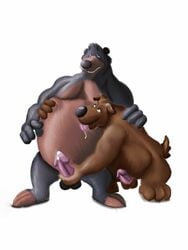 baloo disney furry gay male male_only no_humans penis sdawg tagme talespin yaoi