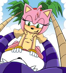 amy_rose anthro big_the_cat blush breasts cat color female fur furry gloves green_eyes hedgehog interspecies male nude pussy sega sex shadowlink350 sonic_(series)