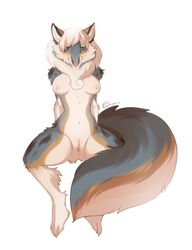 adiago anthro breasts canine female fox fur furry hybrid looking_at_viewer nude pussy solo