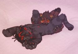 Fisher (Animal) Rule 34 Image