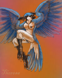 avian bird blue_jay boundbystars breasts female nude plumy pussy solo wings