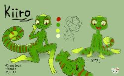Absurd Res Rule 34 Image
