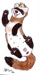 anatomically_correct anatomically_correct_genitalia anatomically_correct_vulva anus claws domestic_ferret female feral galetazzin genitals hi_res mammal mustelid musteline nipples paws pussy solo spacks true_musteline vulva weasel