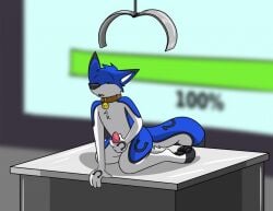 after_transformation anthro belly_grab blue_body blue_fur blue_latex brown_hair canid canine canis collar coltthefurry fox0808 fur furniture genitals goo_transformation good_boy hair hand_on_penis human human_to_anthro latex locked male mammal on_table penis ring sitting sitting_on_table slime slime_inflation solo species_transformation table transformation transformation_ring white_body white_fur wolf