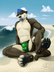 beach bulge efenrai facial_piercing lip_piercing looking_at_viewer male male_only mustelid otter piercing presenting seaside solo speedo spread_legs spreading toned underwear