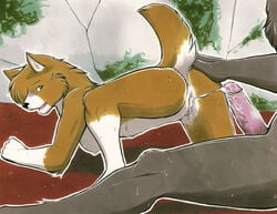 after_sex corgi cum_in_pussy female furry male meesh traditional_media_(artwork) werewolf