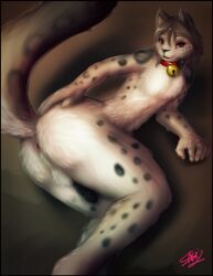 animal_ears ass bell bell_collar collar female furry jingle_bell letterboxed nude pillarboxed signature solo tail