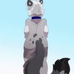 2025 2d_animation animated anthro anus ass ass_up backsack balls blue_eyes blush collar digital_media_(artwork) dipstick_ears dipstick_tail domestic_cat ear_markings egyptian_mau erection eyewear felid feline felis femboy frame_by_frame fur genitals glasses grey_body hair jonky leaning leaning_forward looking_at_viewer looking_away looking_back looking_back_at_viewer male mammal markings multicolored_ears nixuelle nude penile_spines penis pink_nose presenting presenting_anus presenting_balls presenting_hindquarters presenting_penis raised_tail rear_focus rear_view short_playtime shy simple_background smile solo spots spotted_markings tail tail_markings thick_thighs tuft