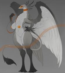 absurd_res accipitriform anthro areola avian beak big_breasts bird breasts feathers female genitals hi_res khemmmis nipples nude pussy secretary_bird simple_background solo thick_thighs vulva white_body wings