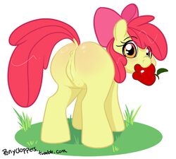 anus apple_bloom_(mlp) equine female friendship_is_magic horse my_little_pony pony ponyclopsasaurus pussy