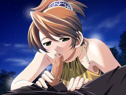 female 4:3 blush brown_hair cum_in_mouth edelweiss erection facial fellatio game_cg kamoike_ran katakura_shinji oral penis uncensored